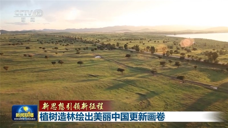 【新思想引领新征程】植树造林绘出美丽中国更新画卷