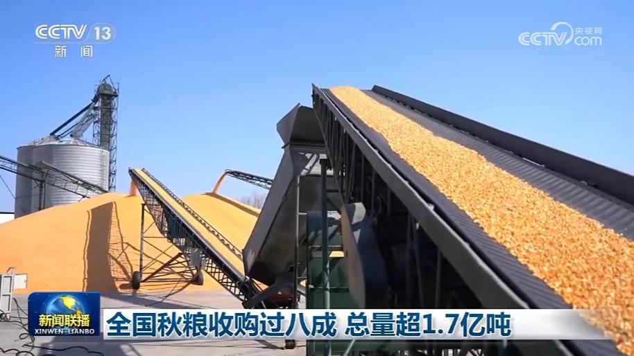 全国秋粮收购过八成 总量超1.7亿吨