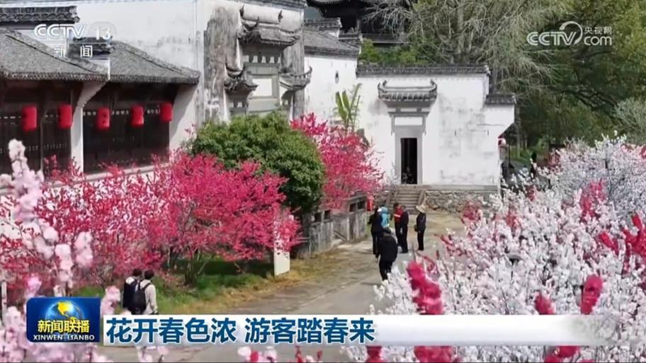 花开春色浓 游客踏春来