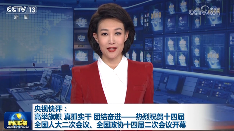 央视快评：高举旗帜 真抓实干 团结奋进——热烈祝贺十四届全国人大二次会议、全国政协十四届二次会议开幕