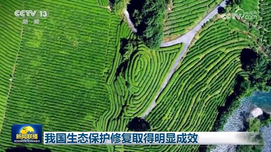 我国生态保护修复取得明显成效