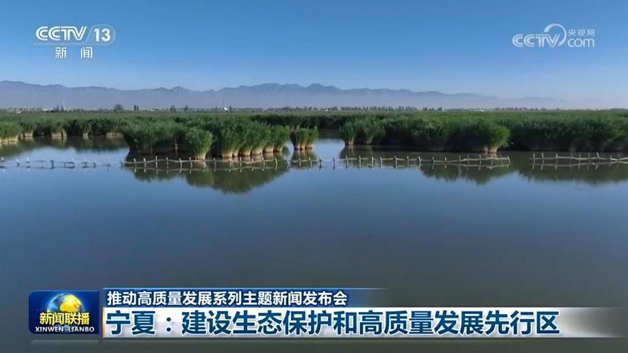 【推动高质量发展系列主题新闻发布会】宁夏：建设生态保护和高质量发展先行区