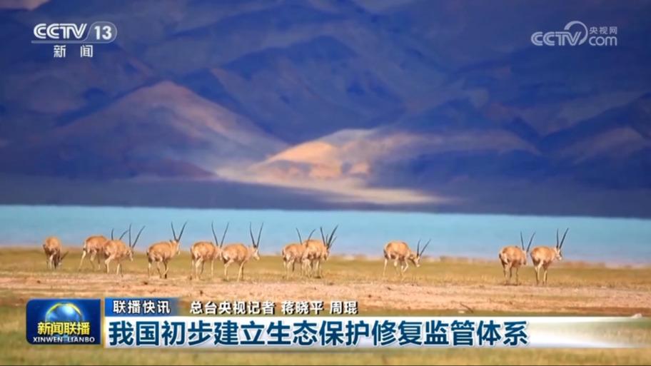 国内联播快讯