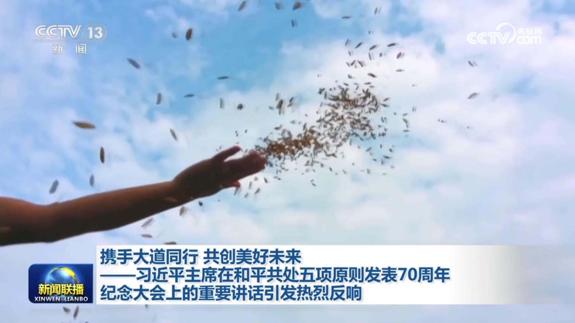 携手大道同行 共创美好未来——习近平主席在和平共处五项原则发表70周年纪念大会上的重要讲话引发热烈反响