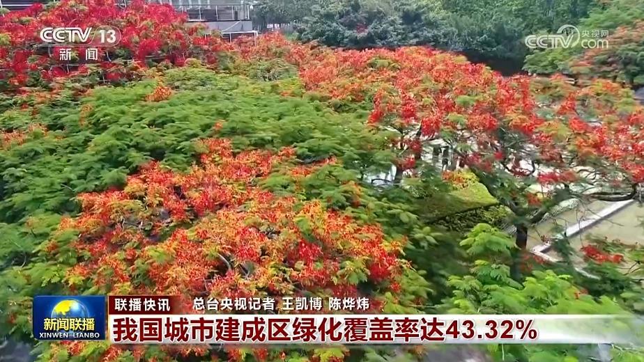 国内联播快讯