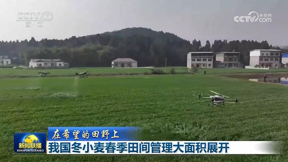 【在希望的田野上】我国冬小麦春季田间管理大面积展开