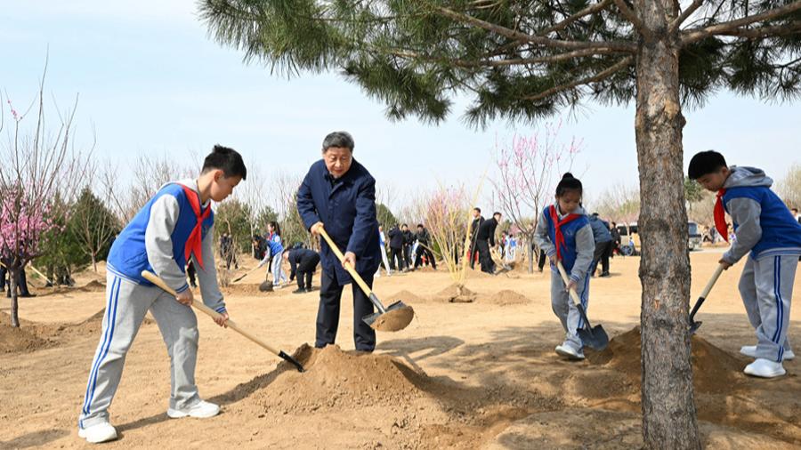 习近平在参加首都义务植树活动时强调 汇聚共建美丽中国磅礴力量 让祖国大地更加绿意盎然生机勃发