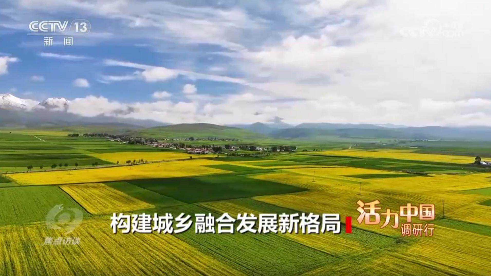 《焦点访谈》 20250806 活力中国调研行 构建城乡融合发展新格局