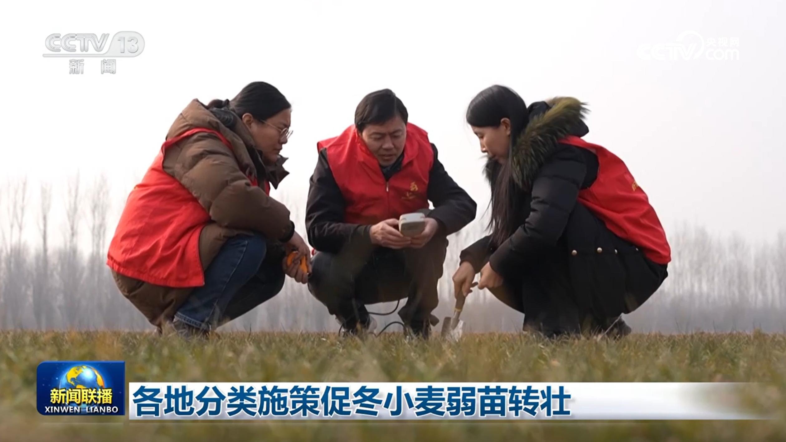 各地分类施策促冬小麦弱苗转壮