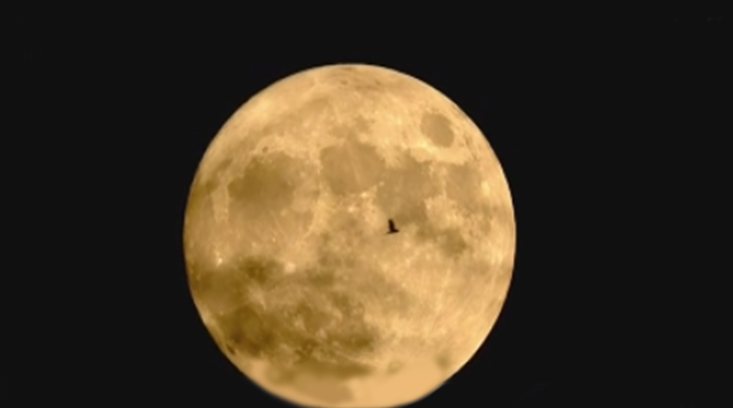 "火星伴月"3日上演 亮星明月闪耀天宇