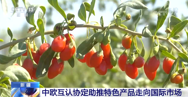 中欧互认协定助推特色产品走向国际市场 开拓更多销路