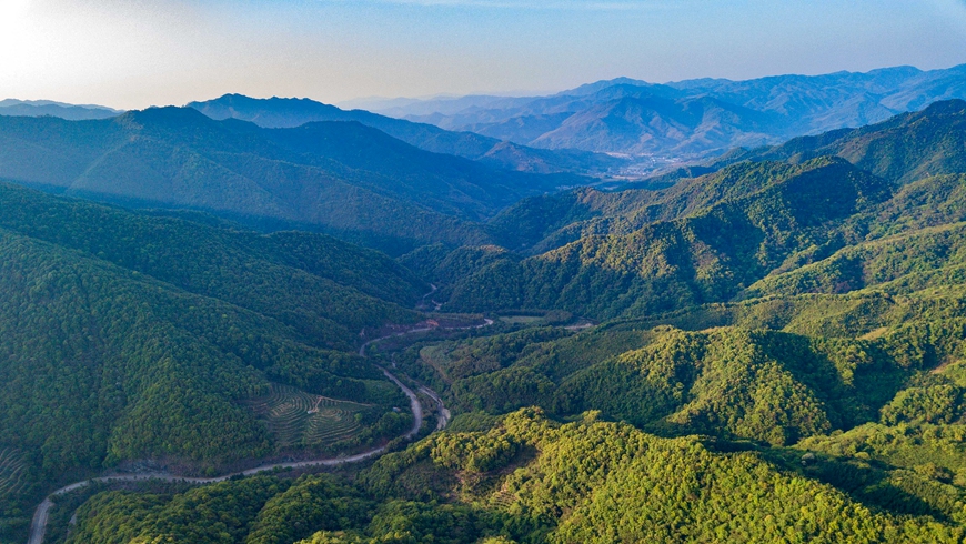车八岭国家级自然保护区
