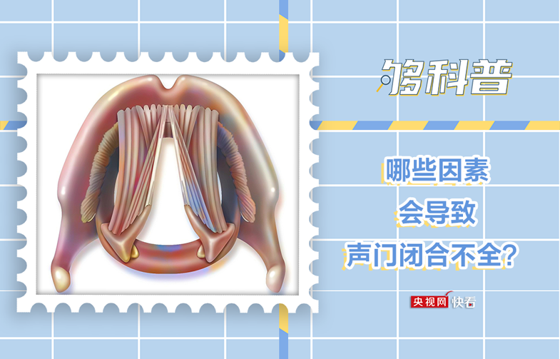 【够科普】哪些因素会导致声门闭合不全?_新闻频道_央视网(cctv.com)