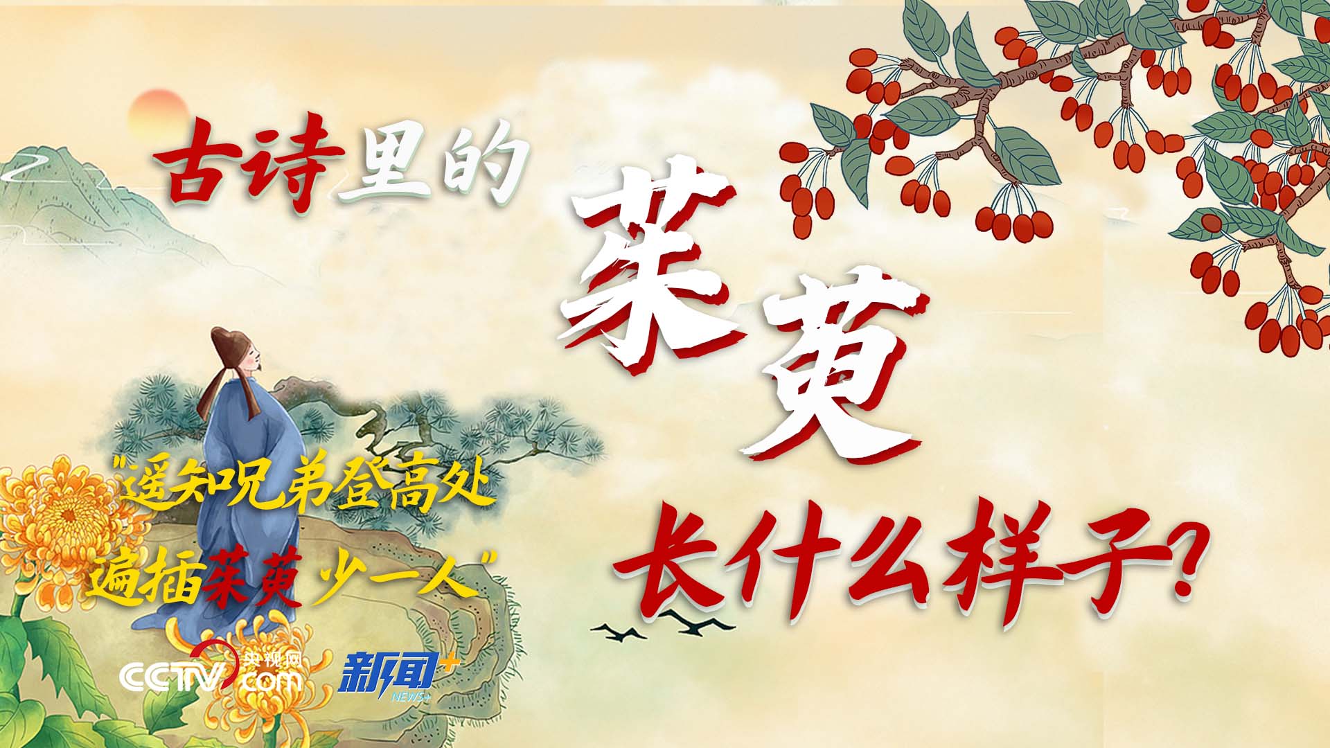 闽台越走越亲的大势，不会因岛内哪个人执政而改变！