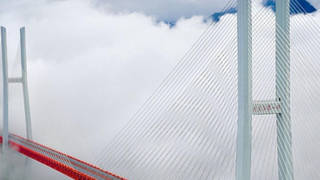 Data Tells: How China Shines