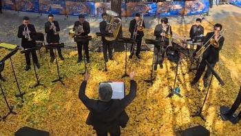 总要来银杏树下听一场音乐会吧