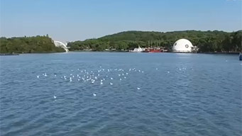 “十四五”期间重要河湖和重点海湾整治完成率达95%、99%