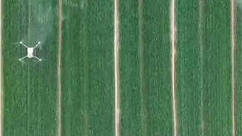 我国加力推进粮油作物大面积单产提升行动