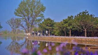 北京有条Cityride路线被外国友人疯狂点赞