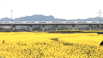 新举措助跑旅游列车 激发消费新活力