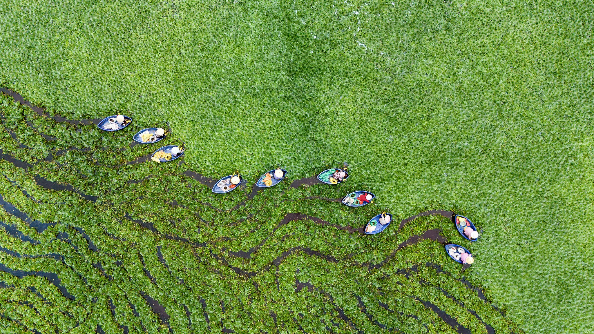 Summer harvest paints Fenyi in green