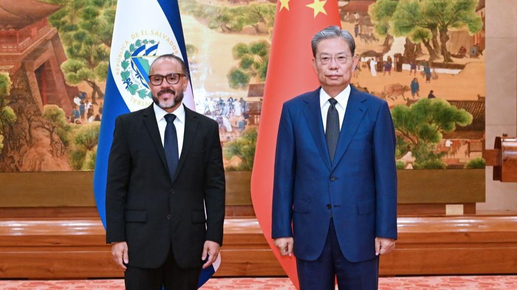 China's top legislator holds talks with president of El Salvador's Legislative Assembly