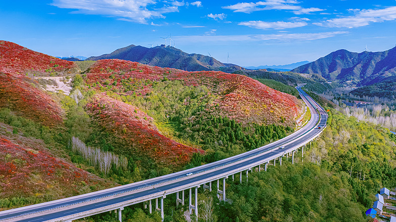 2026全国赏红叶地图发布 十大观赏胜地秋色各异