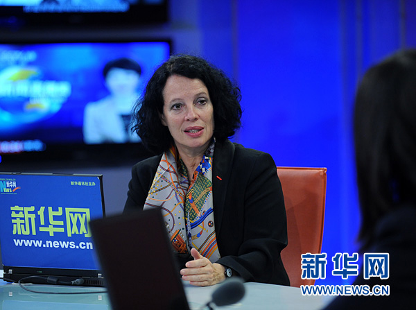 法国大使接受新华网访谈全文实录