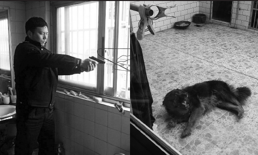 养了7年的狼狗突然发狂咬主人 民警将其"一枪爆头"