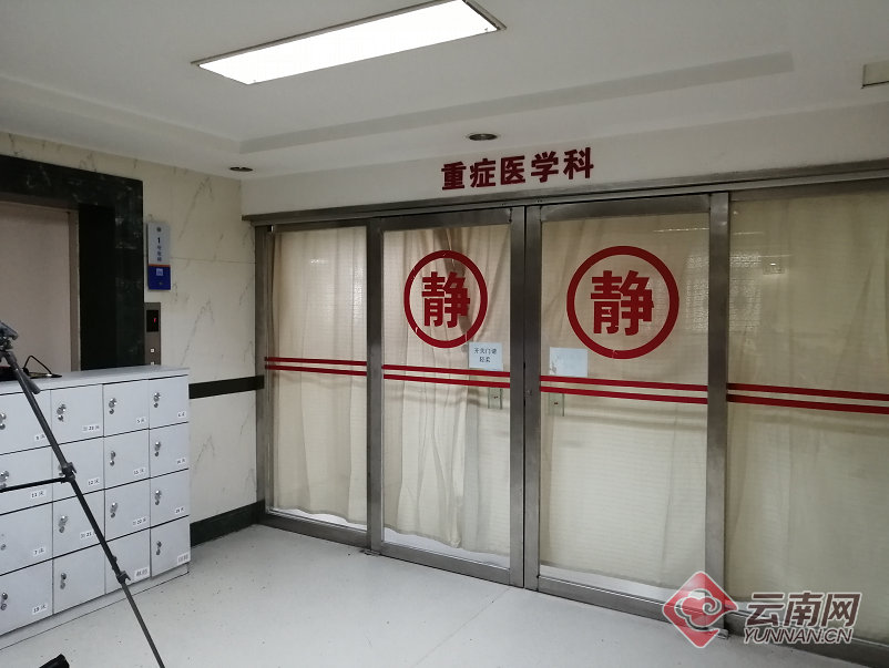 云南盈江一家四口自采误食致命鹅膏菌中毒死亡