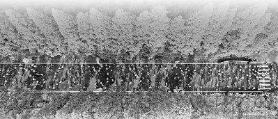 足踝的很多毛病都与穿鞋有关 平时选鞋应该注意什么？