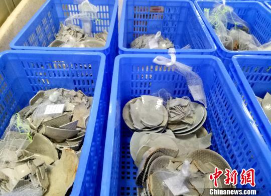 古沉船“南海I号”发掘尚需一年半到两年时间(图)