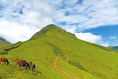 村民放牛发现一块金属 疑为川航英雄机组掉落的部件