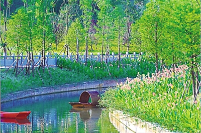 惊喜！生态环保整治后 重庆跳磴河上荡起乌篷船