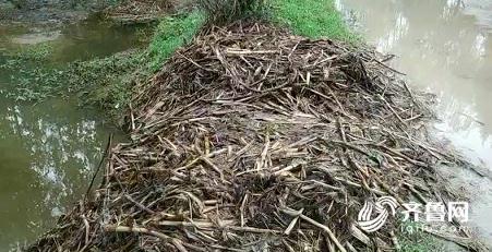 被洪水冲走的日照莒县村干部孟凡永已确认牺牲