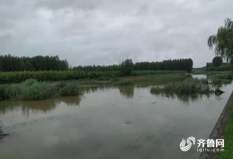 被洪水冲走的日照莒县村干部孟凡永已确认牺牲