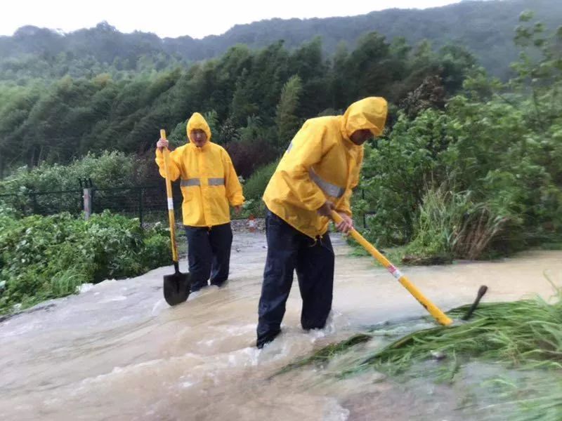 这是一群连台风也吹不走的青年