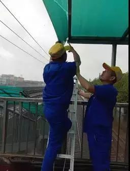 这是一群连台风也吹不走的青年