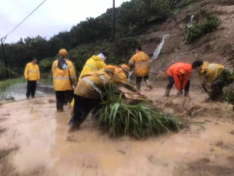 这是一群连台风也吹不走的青年