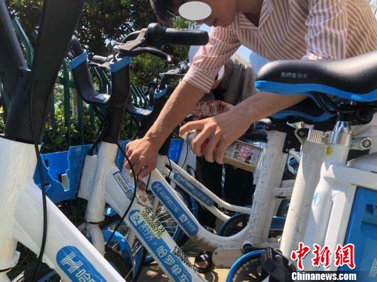 随意张贴小广告 男子被“罚”清理200辆共享单车