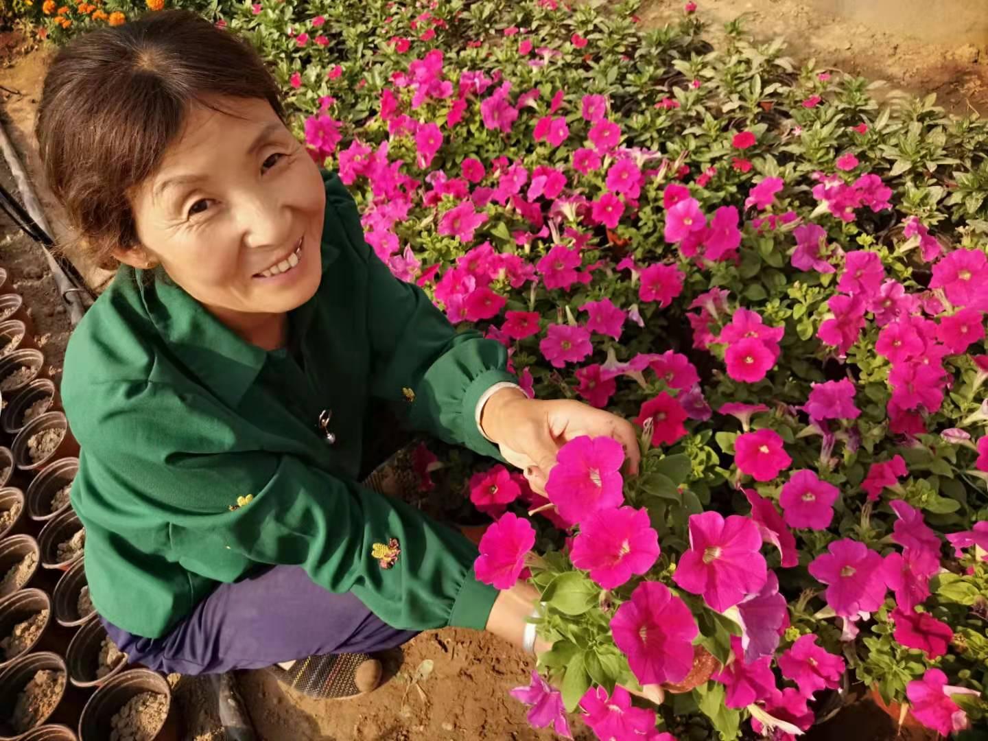 北京朝阳区：扶贫之花绽放十月
