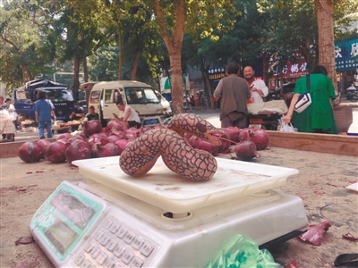 被地瓜耽误的画家！沈阳“地瓜大叔”意外走红