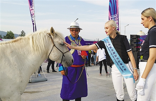 内蒙古打造马产业链条 蒙古马“跑”进三次产业