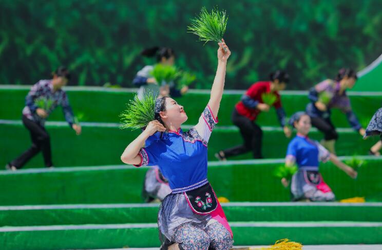 茶香天下庆丰收 梅州亮出新名片