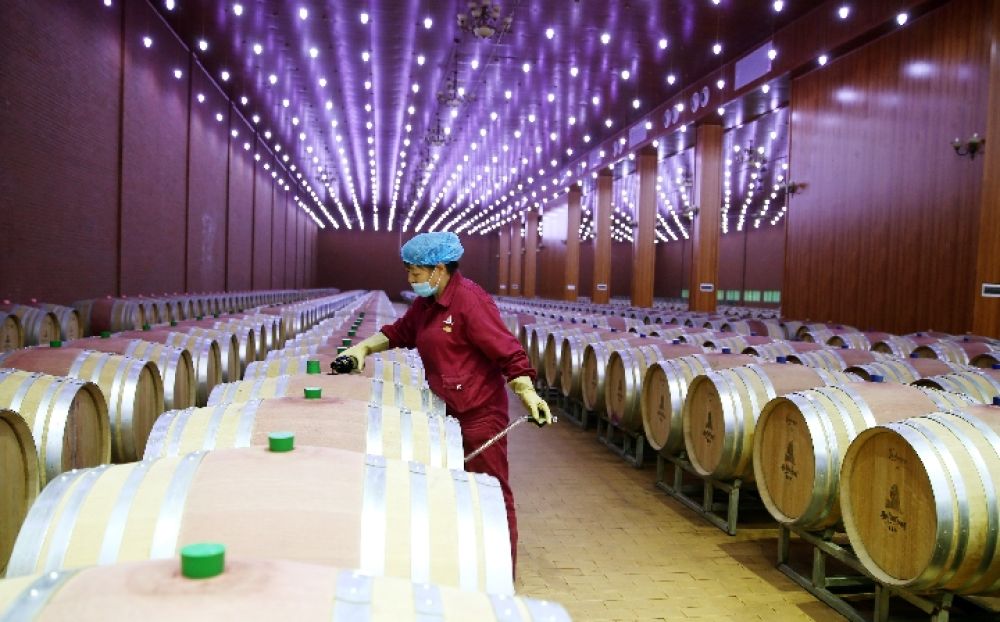 央视网评：葡萄酒产业大有前景_新闻频道_央视网(cctv.com)