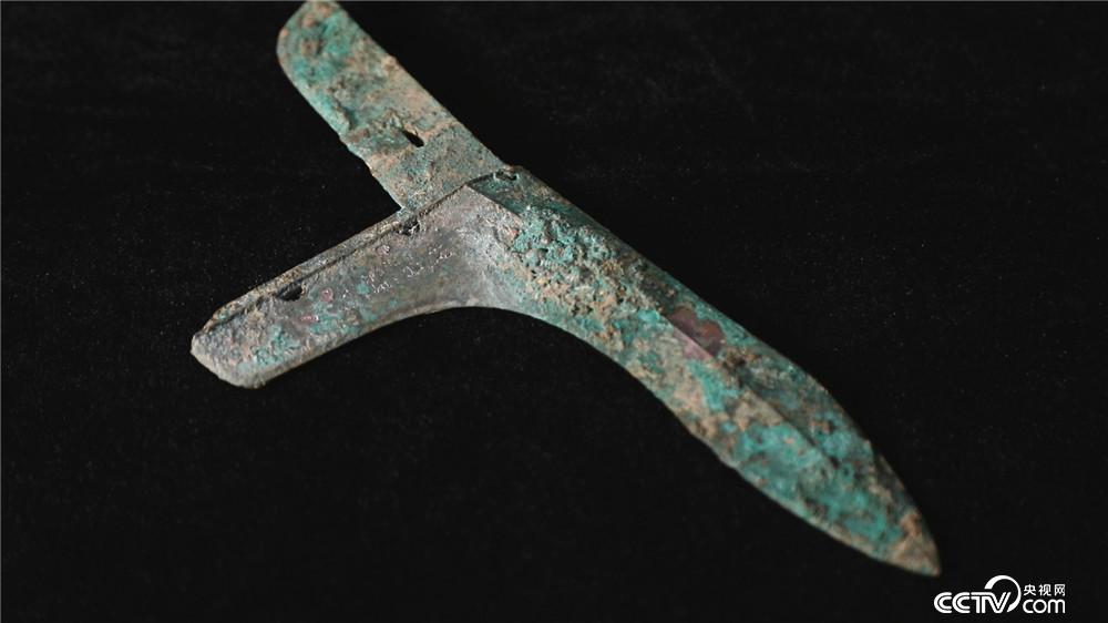 追缴回来的郳国国君戈引发大韩墓地或为郳国墓地的猜想.