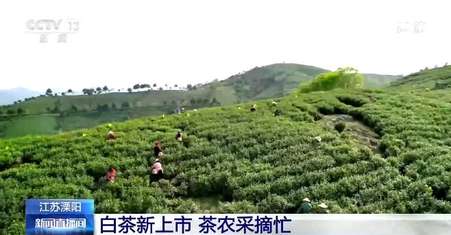江苏、辽宁等地抢抓农时 江苏、辽宁等地抢抓农时