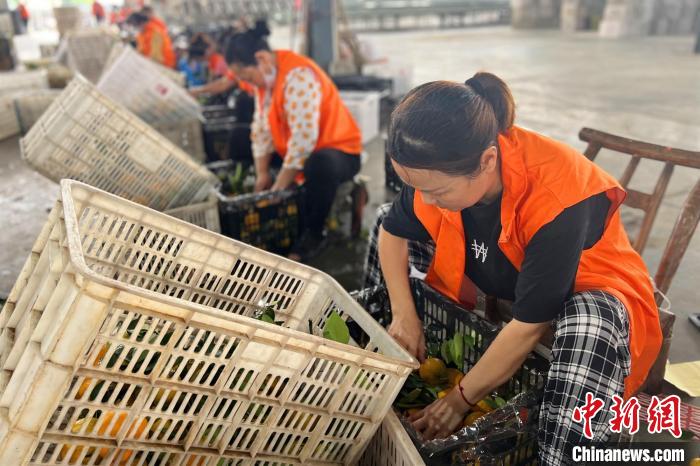 湖北枝江：从美丽乡村向美丽经济“蜕变”