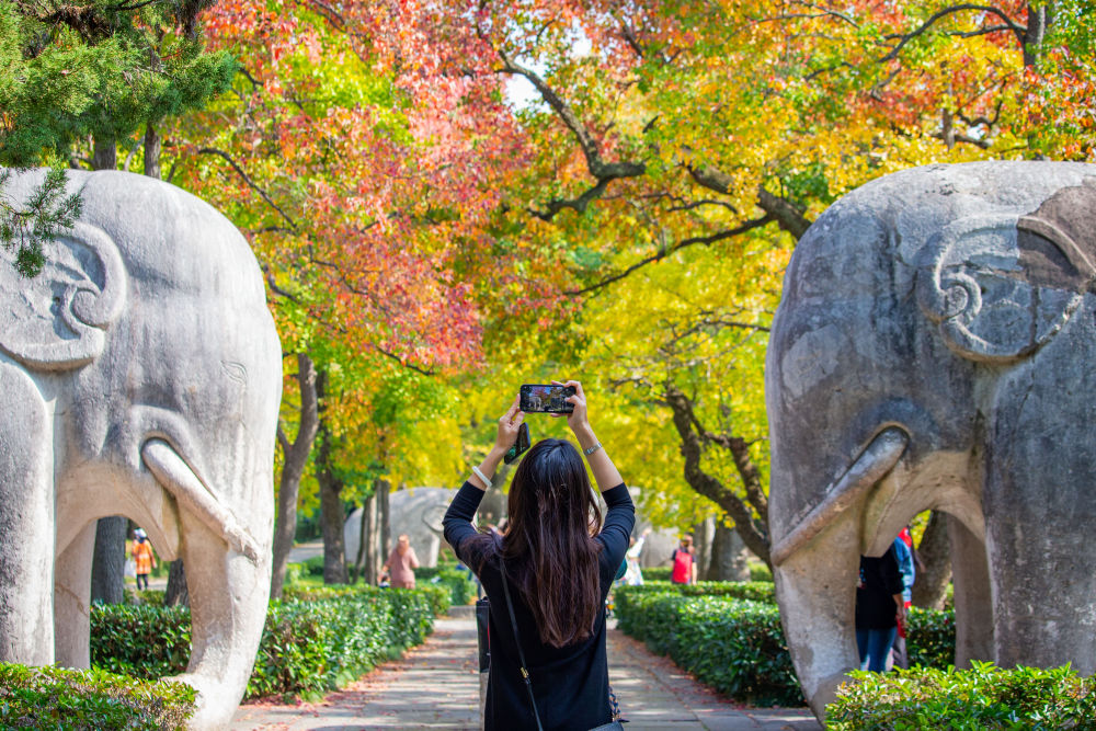 诗意中国｜山明水净夜来霜，数树深红出浅黄