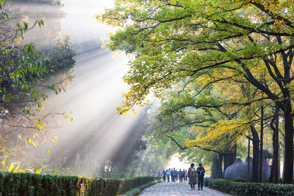 诗意中国｜山明水净夜来霜，数树深红出浅黄